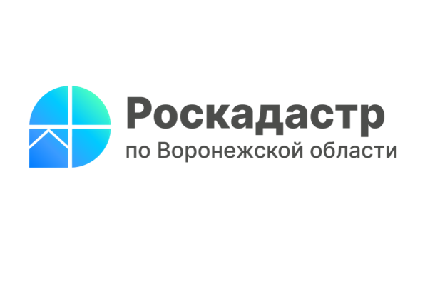 В Воронежской области оцифровано почти 92% землеустроительных документов.